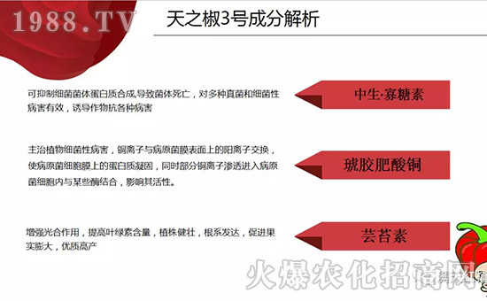 �����ϝM��t��ף������µ�һ���﹤�����������������