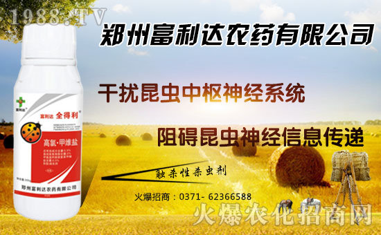 �������_��ףȫ���������µ�һ���﹤�����������������