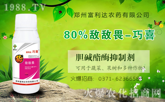 �������_��ףȫ���������µ�һ���﹤�����������������