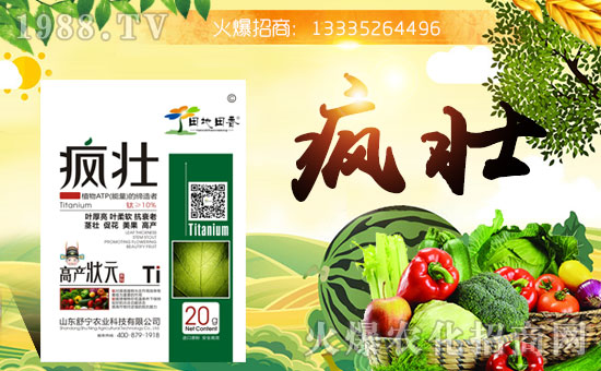 ���挎�r(n��ng)�I(y��)���������Ͽ͑�(h��)�´��옷(l��)�����۰�����