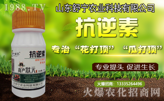 ���挎�r(n��ng)�I(y��)���������Ͽ͑�(h��)�´��옷(l��)�����۰�����