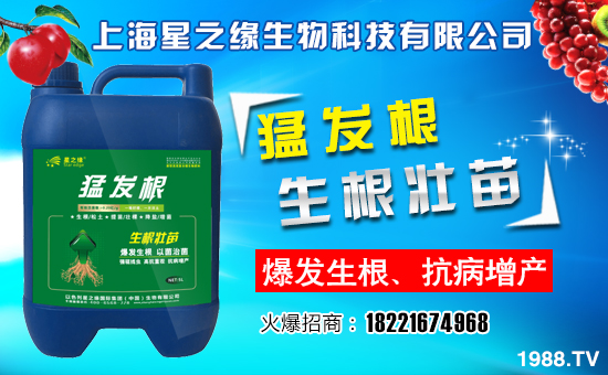 ����֮������ף����´��옷�����w�������H���Ҹ����f�����⣡