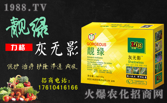 【英國力格】祝您歡歡喜喜迎狗年,萬事如意平安年!