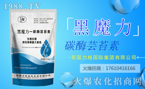 【英國力格】祝您歡歡喜喜迎狗年,萬事如意平安年!