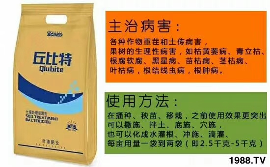 ��ʩ���_(d��)����ף������w�������H���Ҹ����i�����