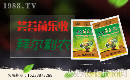 ���ݠ����r(n��ng)����ף�����������������ҼҼ��飡