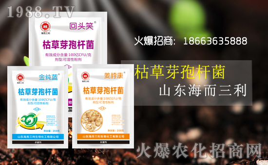 辭舊迎新心歡暢,夢(mèng)想激情齊飛翔,事業(yè)榮譽(yù)共輝煌,國(guó)強(qiáng)家富譜華章,健康平安都點(diǎn)亮,快樂(lè)幸福駐久長(zhǎng)!山東海而三利生物化工有限公司恭祝大家豬年吉祥,福運(yùn)無(wú)疆,生意興隆,萬(wàn)事如意!