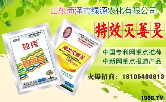     �ڴ������(l��i)�R֮�H��ɽ�|�ʝ��оGԴ�r(n��ng)�����޹�˾ȫ�w�T��ף�����g�gϲϲӭ�i�����f(w��n)������ƽ�������P(y��ng)ü������꣬�I(y��)�ɹ��x�������ϼҚg��(l��)�Ҹ��������w�����f(w��n)�f(w��n)�������