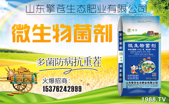 �����n���B(t��i)����ף���Ͽ͑��i���д��\��ؔԴ�L�L����