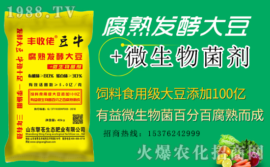 �����n���B(t��i)����ף���Ͽ͑��i���д��\��ؔԴ�L�L����