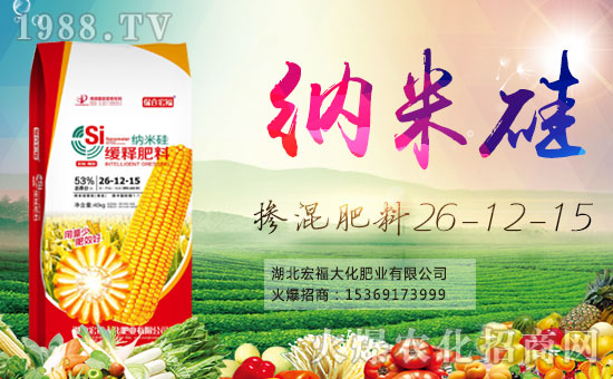 【宏福大化】祝大家在新的一年里身體健康,萬事如意!