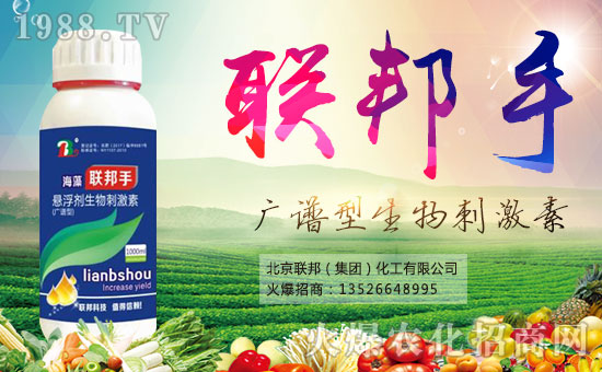 【北京聯(lián)邦化工】祝大家新年快樂,好事多多!