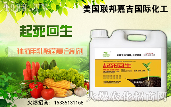 ��(li��n)��μ���ף������µ�һ���������³����f(w��n)��������