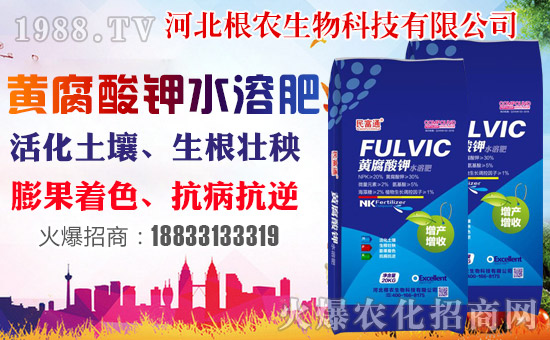 �����r(n��ng)�����ף������������옷�����꼪����