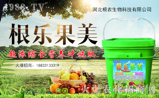 �����r(n��ng)�����ף������������옷�����꼪����