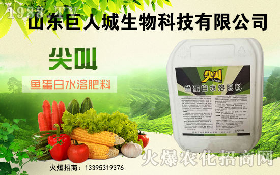 �����˳����ף������µ�һ�������w�����������³����f��������