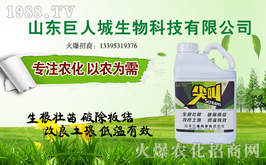 �����˳����ף������µ�һ�������w�����������³ɣ��f��������