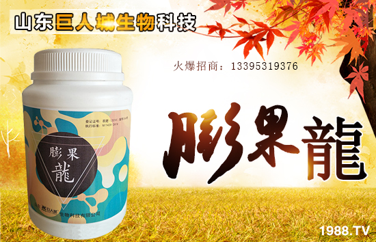 �����˳����ף������µ�һ�������w�����������³����f��������