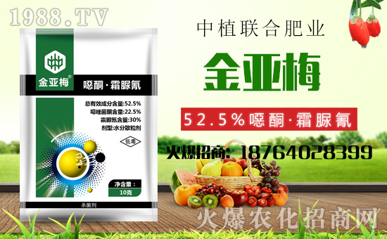 ����ֲ(li��n)�ϡ�ף������������옷(l��)���f(w��n)�����⣡