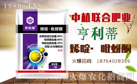 ����ֲ(li��n)�ϡ�ף������������옷(l��)���f(w��n)��������