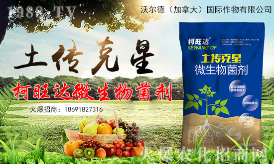 【沃爾德】祝大家在新的一年里工作順利,步步高升!