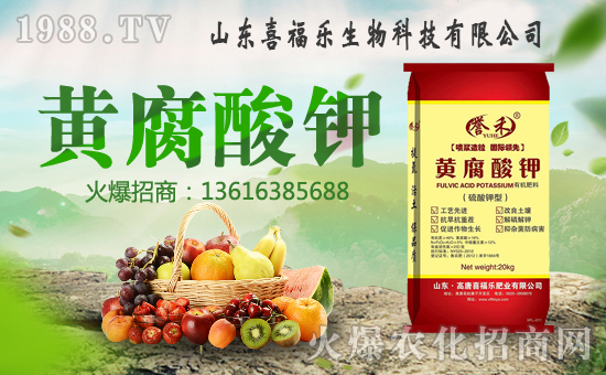 ��ϲ������ף������µ�һ���﹤�����������������