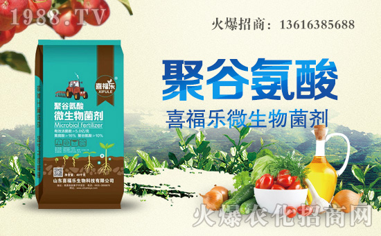 ��ϲ������ף������µ�һ���﹤�����������������