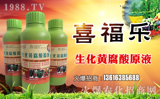 ��ϲ������ף������µ�һ���﹤�����������������