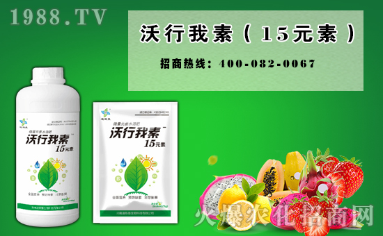     ���_�������͚g��Ę�(l��)�������µ�һ�����҂��߁�(l��i)���o�fӭ��֮�H���҂����ǰٸн�����˼�w�f(w��n)ǧ��