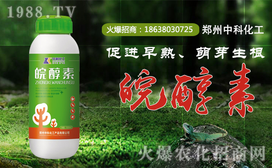 �������ѩ�غ����݃Ȇ���ף��ů���D��ӭ���r(n��ng)�v�꣬�����q����ƽ�����´��ѹ�(ji��)�����������пƻ����a(ch��n)Ʒ���޹�˾ףȫ���������µ�һ�����Ҹ����M���H�Қg����