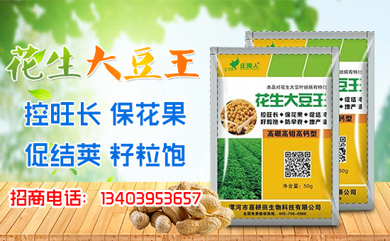 ��ϲ�������ףȫ����(j��ng)�N������A�M�������������������