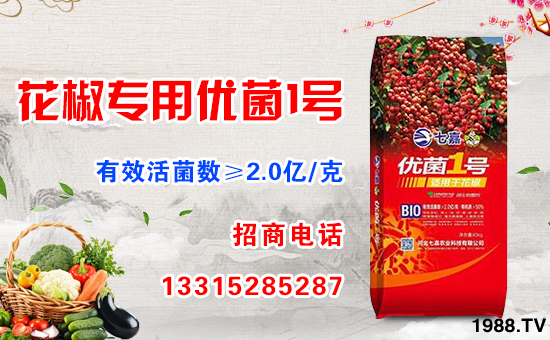 轉(zhuǎn)眼迎來農(nóng)歷年,天增歲月人平安!值此新春佳節(jié)來臨之際,河北七嘉農(nóng)業(yè)科技有限公司祝大家在新的一年里身體健康,萬事如意!