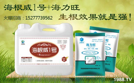 【英國奧睿施】祝您歡歡喜喜迎豬年,萬事如意平安年!