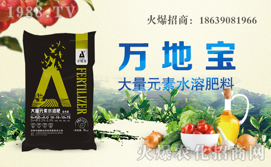 ����ʢ�ʘI(y��)��ף������µ�һ�������w�������H�Қg����