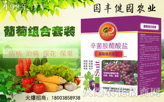 【國(guó)豐健園】全體員工祝大家新春快樂(lè),步步高升!