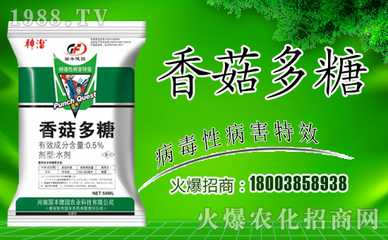 【國(guó)豐健園】全體員工祝大家新春快樂(lè),步步高升!