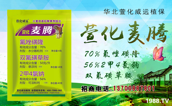 【萱化威遠(yuǎn)】祝大家在新的一年來身體健康,萬事如意!