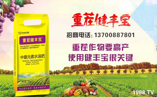 【萱化威遠(yuǎn)】祝大家在新的一年來身體健康,萬事如意!