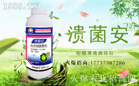 ����ԣ�r(n��ng)�I(y��)��ף������µ�һ�������w�������f��������