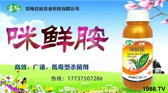 ����ԣ�r(n��ng)�I(y��)��ף������µ�һ�������w�������f��������