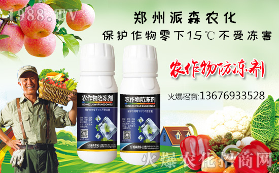 ����ɭ�r(n��ng)����ף������µ�һ���﹤�����������������