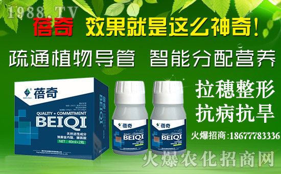 【騰豐農(nóng)業(yè)】祝大家在新的一年里財源滾滾,生意興!