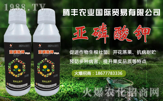 【騰豐農(nóng)業(yè)】祝大家在新的一年里財源滾滾,生意興!