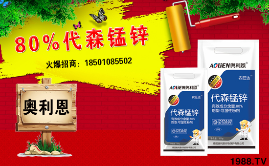 ����(gu��)�W������ף������µ�һ���﹤�����������������