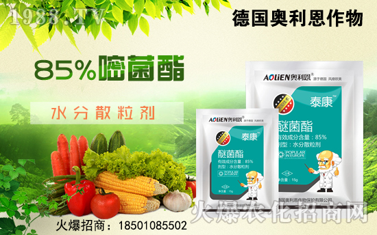 ����(gu��)�W������ף������µ�һ���﹤�����������������