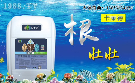 【卡萊德農(nóng)業(yè)】全體員工恭祝全國(guó)經(jīng)銷商身體健康,萬(wàn)事如意!