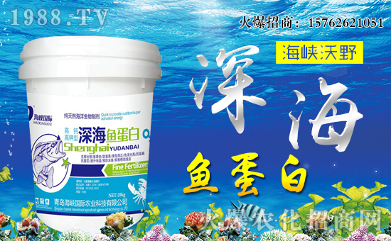 �����{��Ұ��ףȫ��(gu��)�����i��󼪣��f(w��n)��������