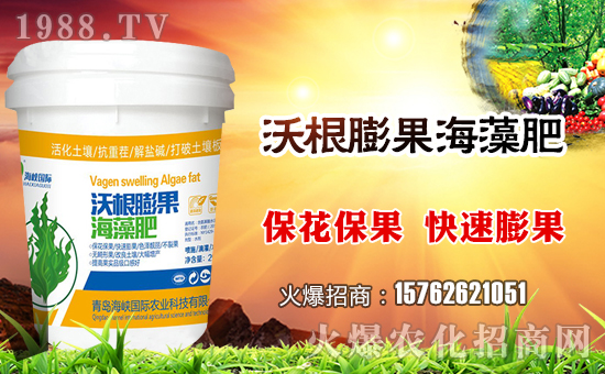 �����{��Ұ��ףȫ��(gu��)�����i������f(w��n)��������