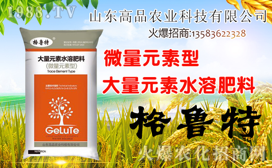 ��ɽ�|��Ʒ���o��Ұ�������ף��ؔԴ�V�M(j��n)�������³����f��������