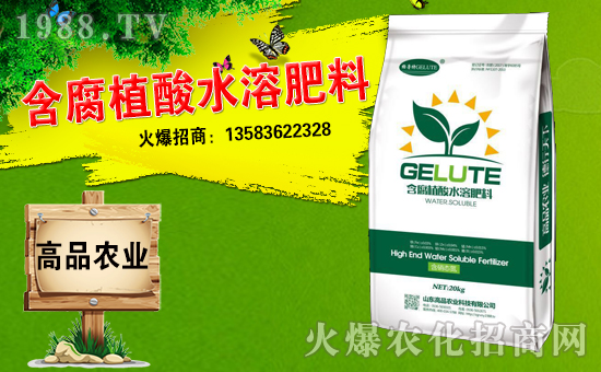 ��ɽ�|��Ʒ���o��Ұ�������ף��ؔԴ�V�M(j��n)�������³ɣ��f��������